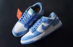 NIKE DUNK AZUL