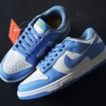 NIKE DUNK AZUL